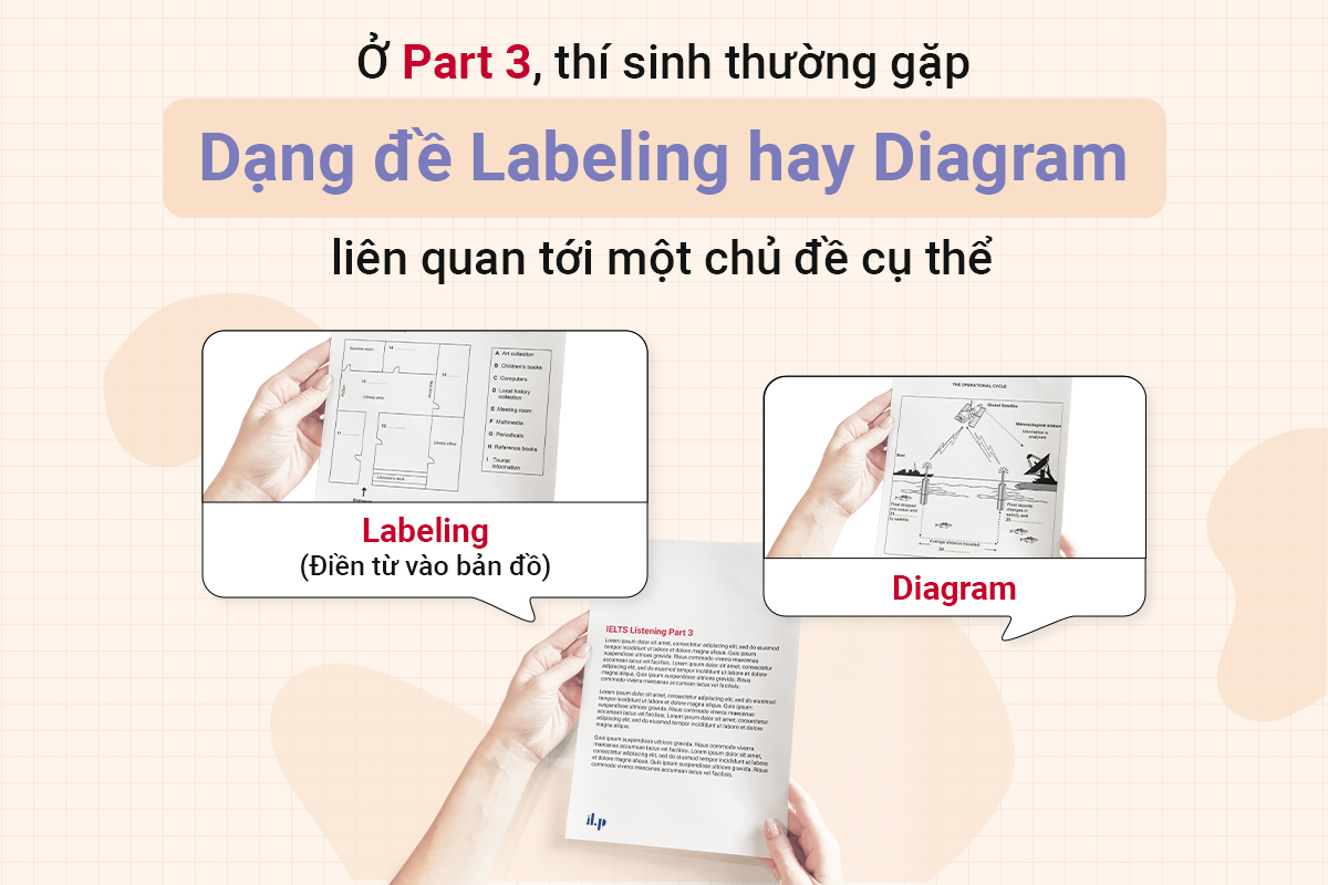 Bài nghe IELTS Part 3 là dạng đề Labeling hay Diagram 1