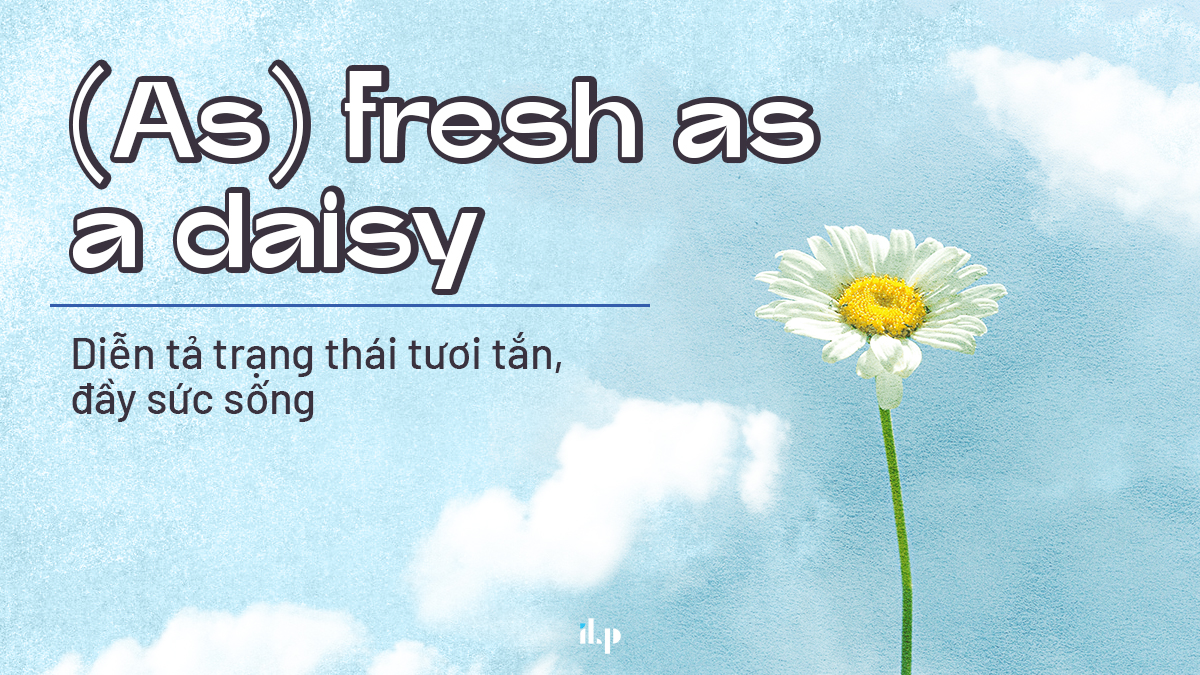 10 idioms phổ biến và bài Speaking mẫu chủ đề Health - as fresh as a daisy