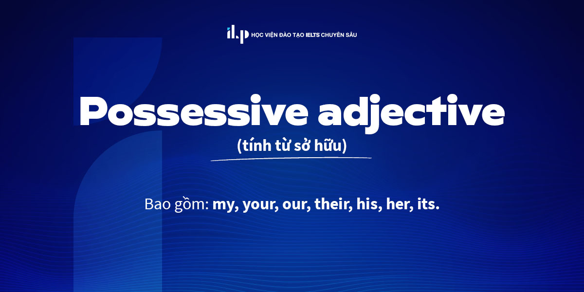 Possessive adjective